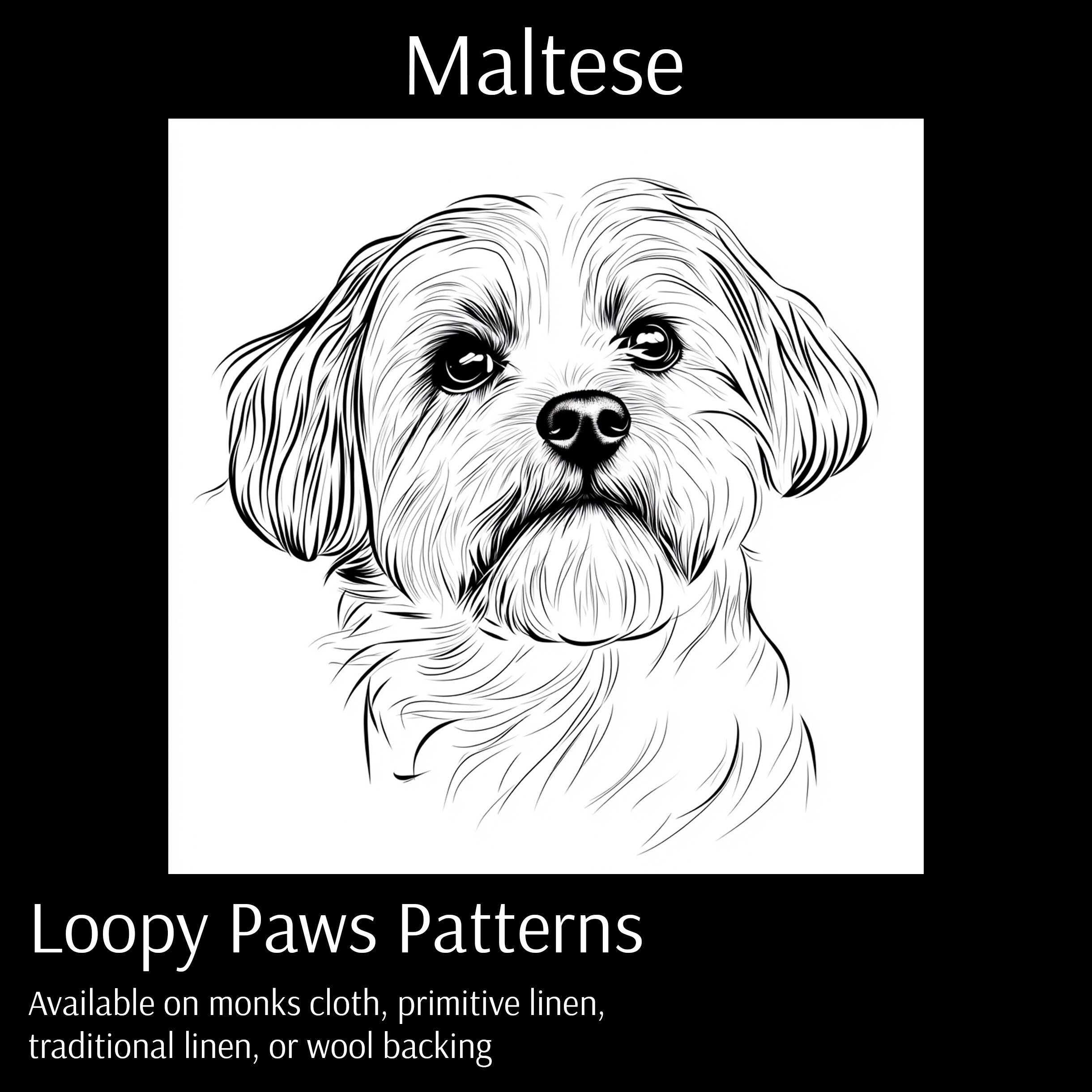 Maltese- Loopy Paws Pattern